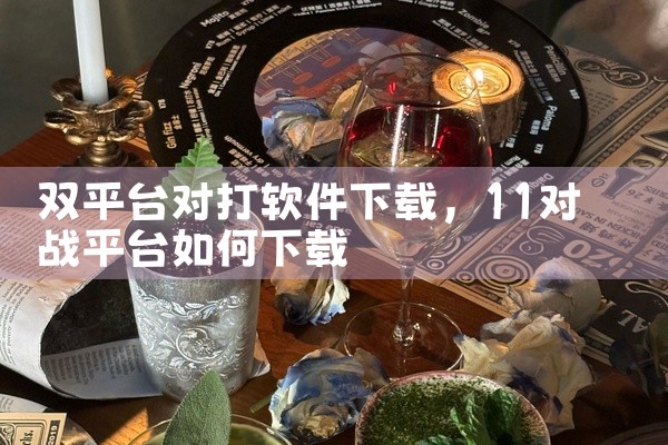 双平台对打软件下载