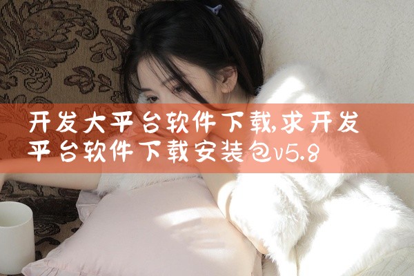 开发大平台软件下载