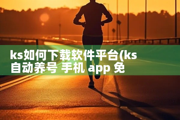 ks如何下载软件平台