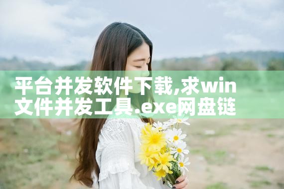 平台并发软件下载