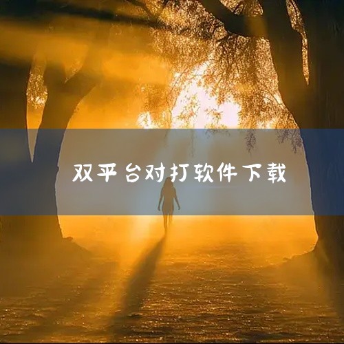 使用约战竞技场平台可以实现拳皇线上联机对打，具体操作如下：下载并打开约战竞技场在电脑中安装约战竞技场...,