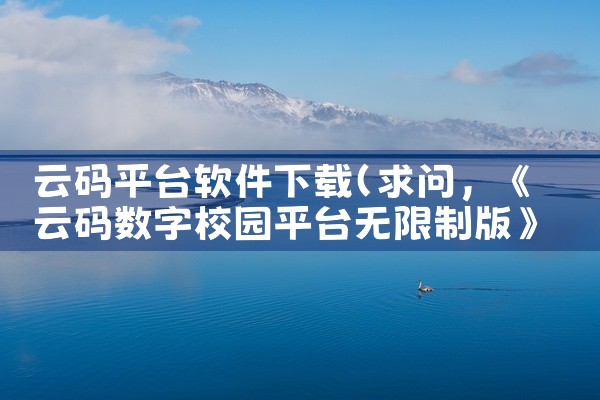 云码平台软件下载