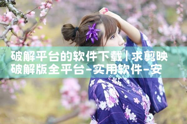 破解平台的软件下载