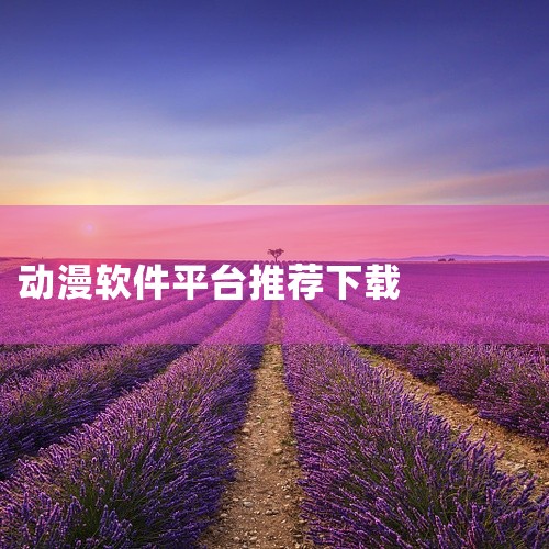 《动漫软件app下载免费大全》整合了多款口碑良好的免费动漫观看应用。这些应用各具特色,有的侧重高清画质,有的侧重资源广度,有的侧重社区互动。本资源包提供了它们的安装包合集及简要评测,帮助用户根据自身需|