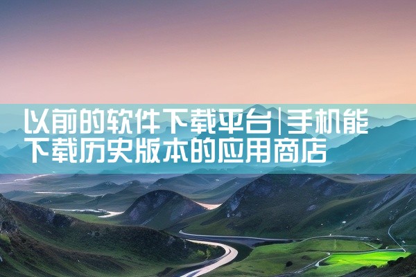 以前的软件下载平台