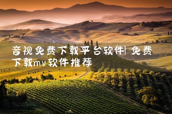 音视免费下载平台软件